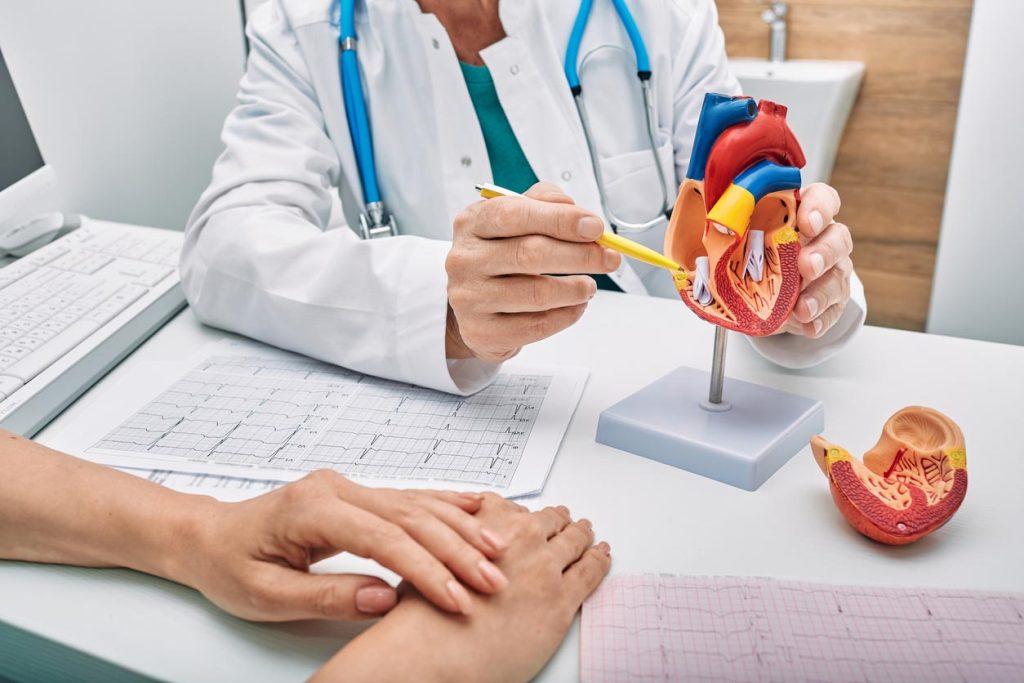cardiologue montre une partie du cœur à un patient