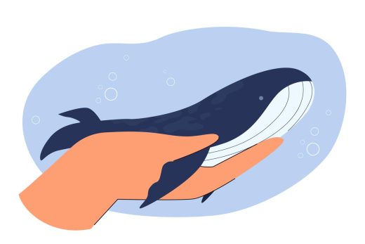 Petite baleine sur main humaine illustration
