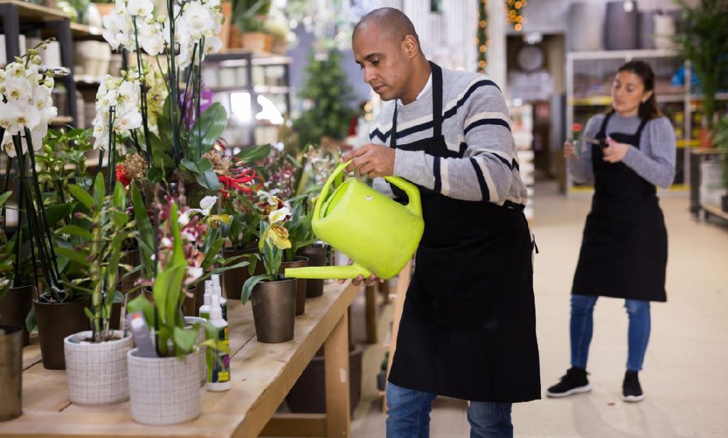 Fleuriste Homme Et Femme. Arrosage Et Entretien Des Fleurs En Pots