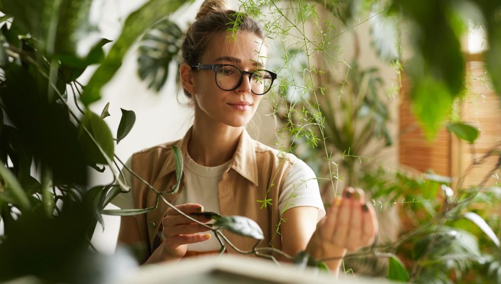 Jeune Femme Qui Observe Différentes Plantes