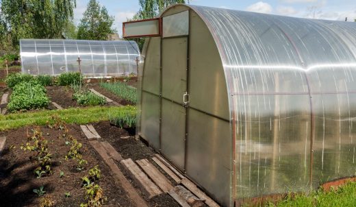 Devenir Serriste, Serres Dans Un Jardins