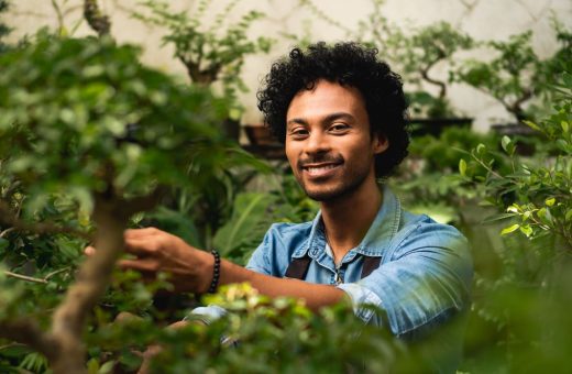 Pépiniériste Prend Soin D'une Plante