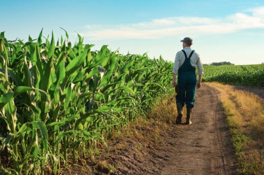 Technicien Agricole